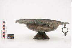 Foto von Bronzebreitrandfußschale (NHMW-PRAE-026038)